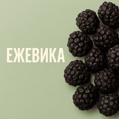 Ежевика